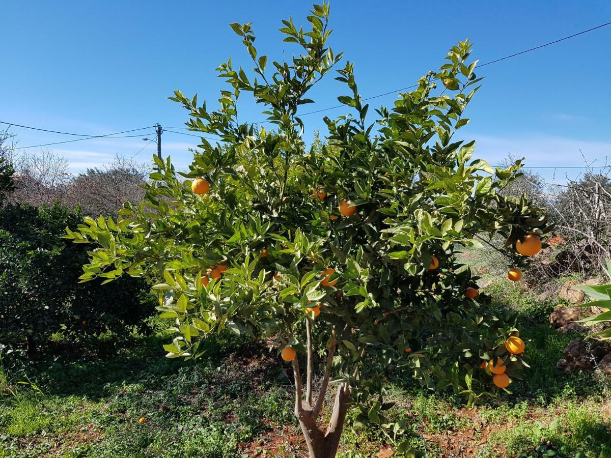Penzion Quinta Teresinha Silves Exteriér fotografie