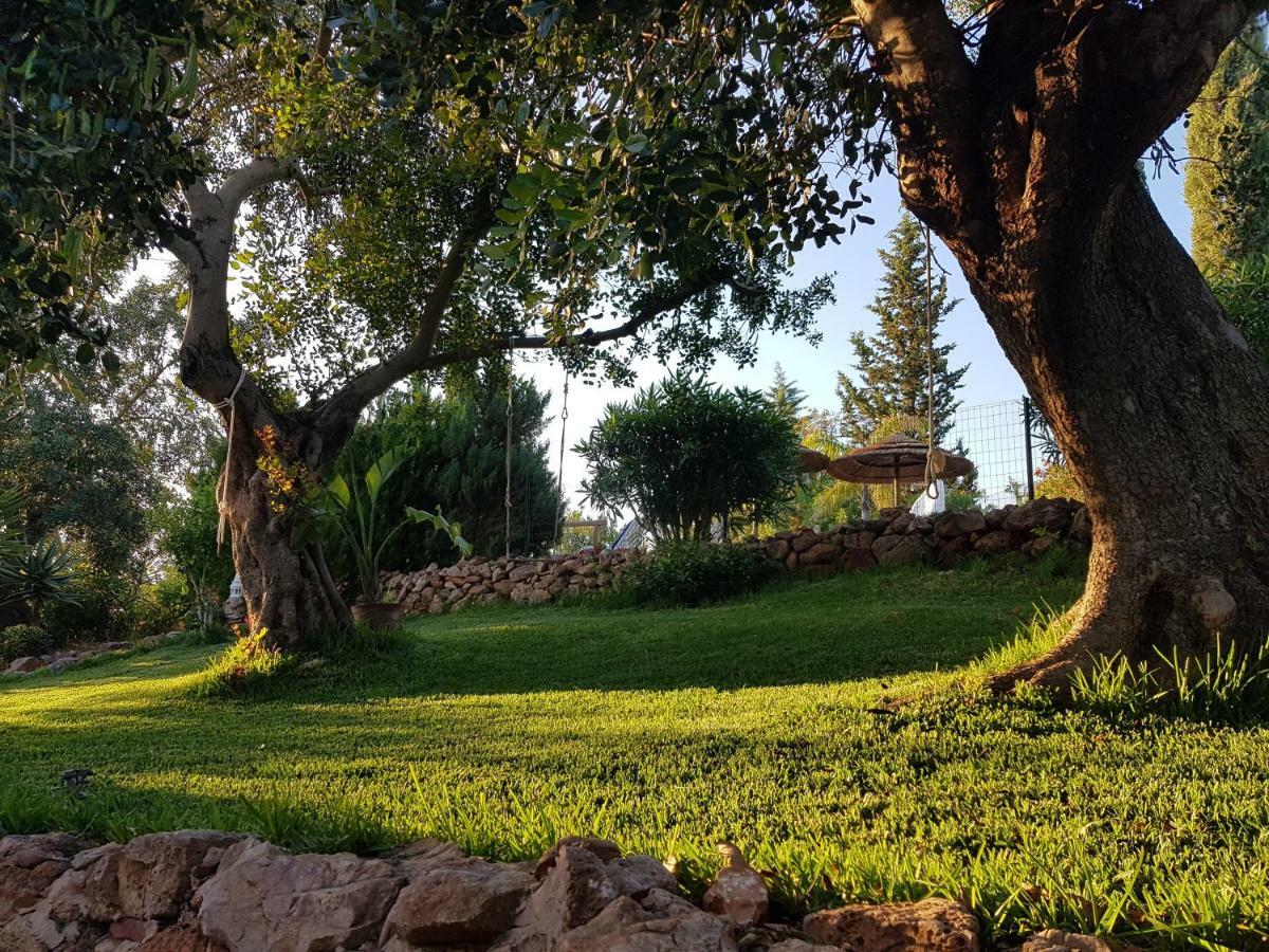 Penzion Quinta Teresinha Silves Exteriér fotografie